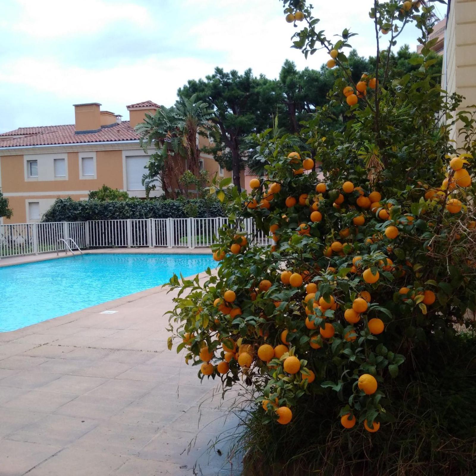 Direct Monaco Studio Devant Piscine Beausoleil Eksteriør bilde