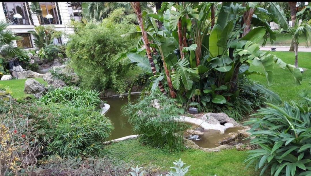 Direct Monaco Studio Devant Piscine Beausoleil Rom bilde