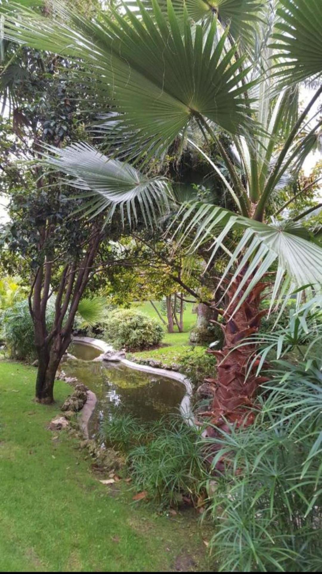 Direct Monaco Studio Devant Piscine Beausoleil Rom bilde